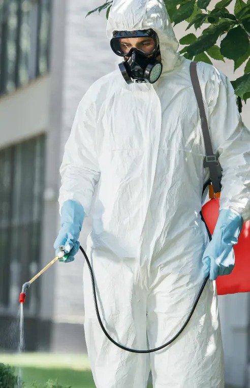 pest control services dubai 3