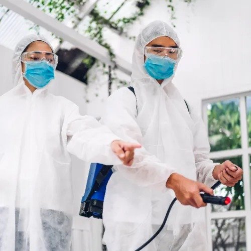 pest control services dubai 1