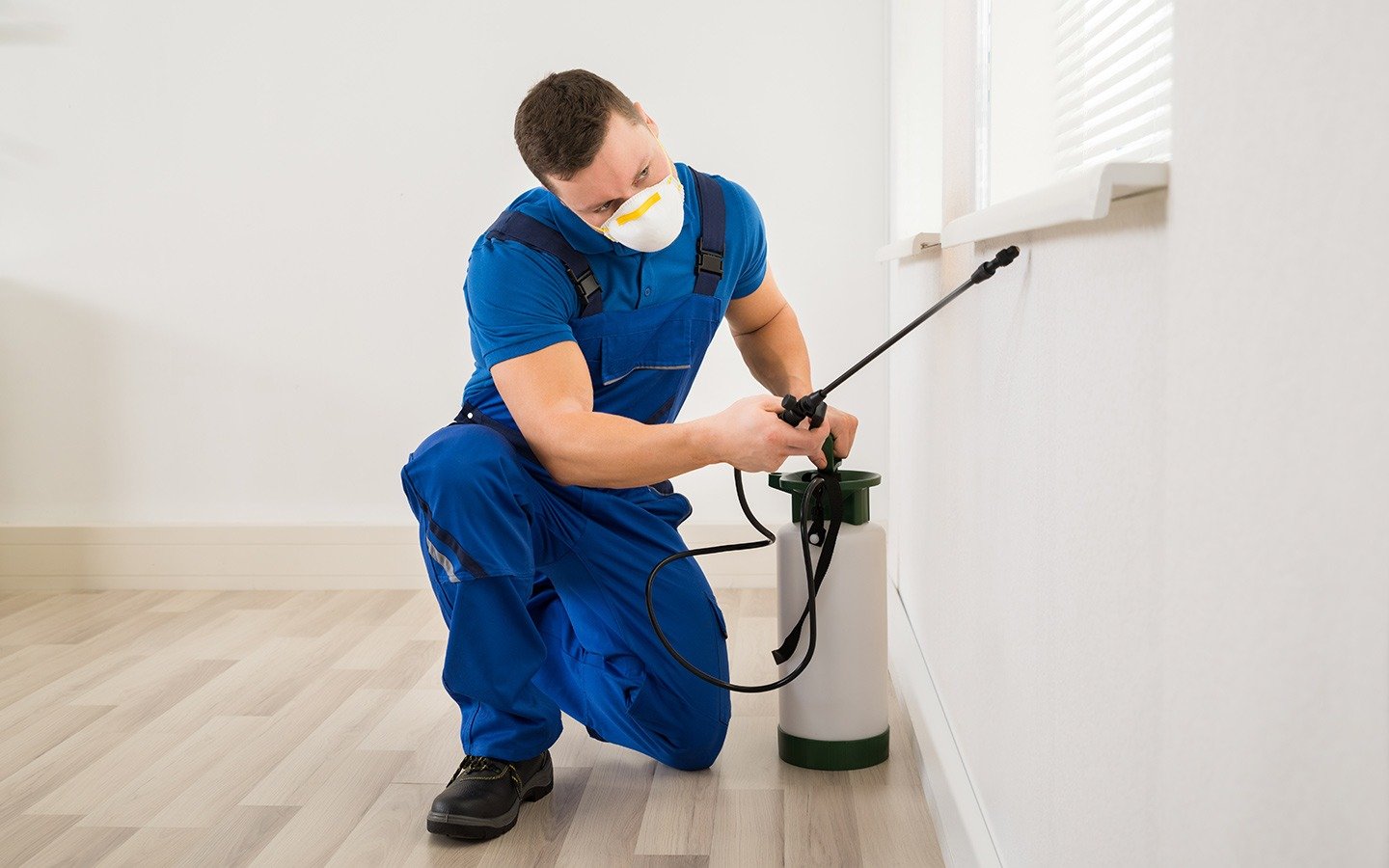 professional pest control services in dubai