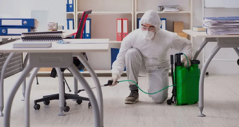 office pest control services in dubai